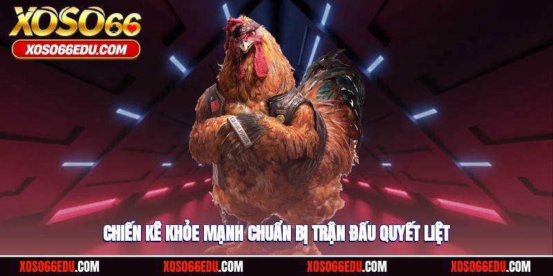 Chiến kê khỏe mạnh chuẩn bị trận đấu quyết liệt